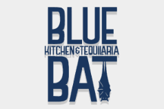 Blue Bat DDW21