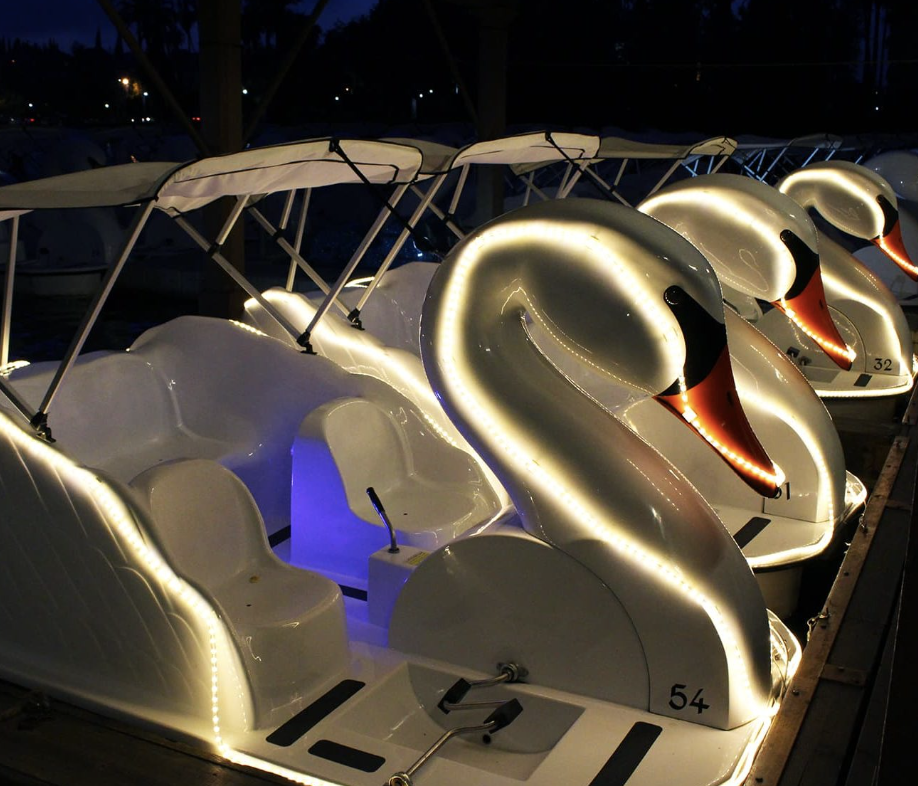 Swan boats