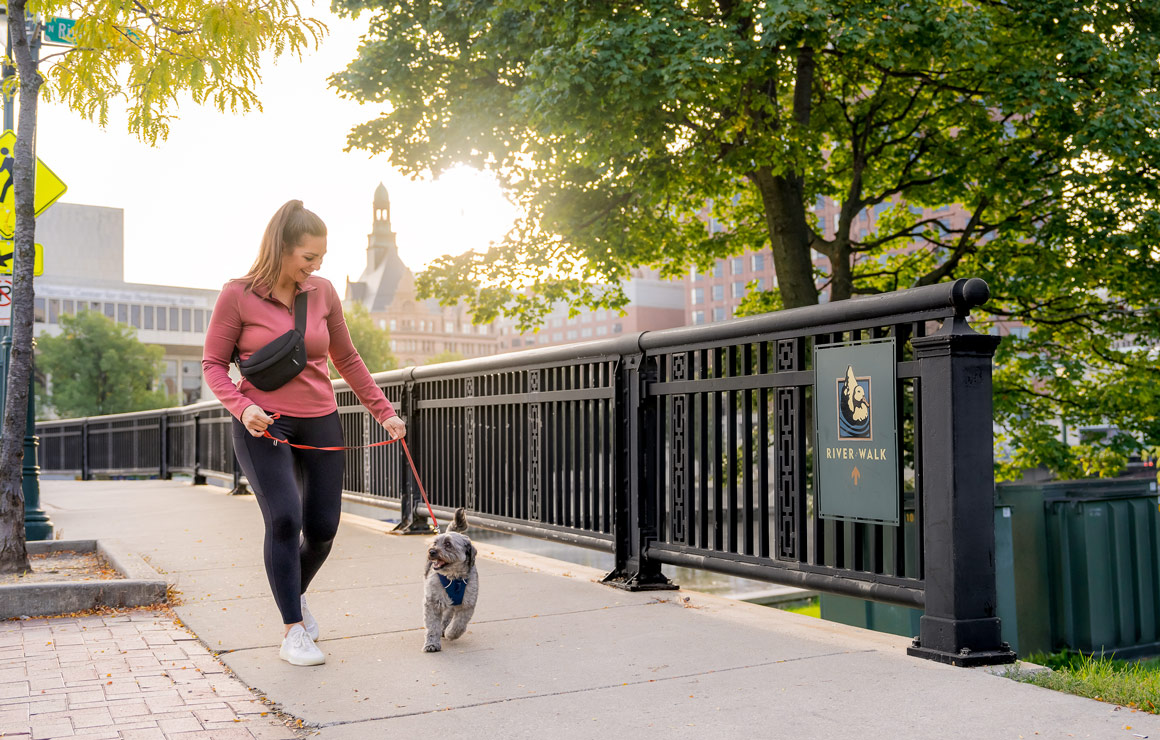 dog riverwalk