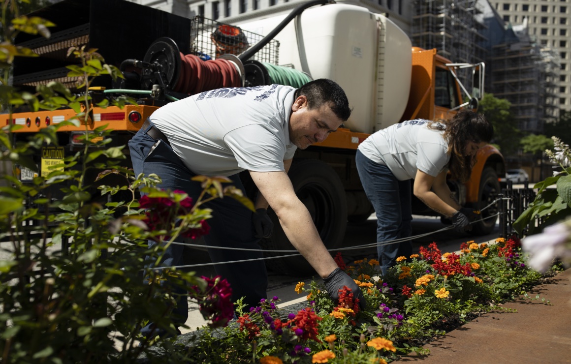 Landscape Crew gardening downtown