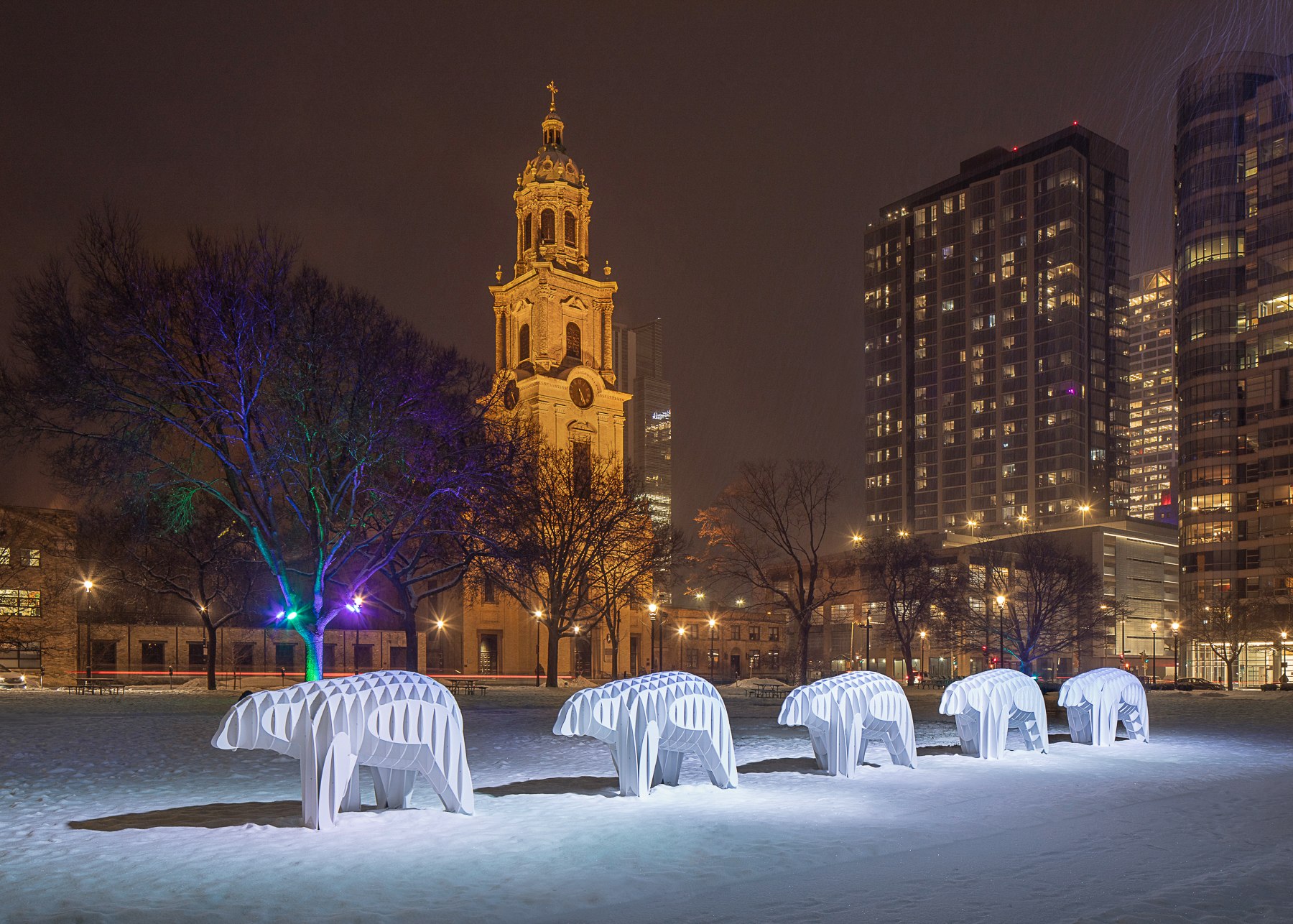 A line of Massimals in the snow at Cathedral Square Park.