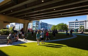 downtown milwaukee dog park summer opening